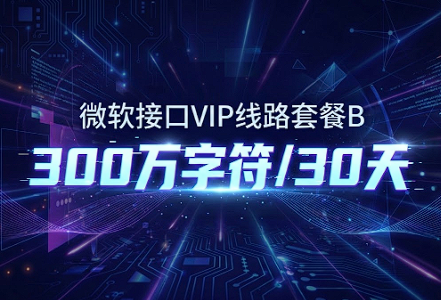 购买订单：微软接口VIP线路套餐B – 300万字符/30天