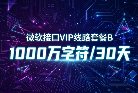 购买订单：微软接口VIP线路套餐B – 1000万字符/30天