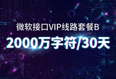 购买订单：微软接口VIP线路套餐B – 2000万字符/30天